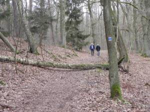 66-Seen-Wanderweg, im Michendorfer Wald (Foto: 2014) 66-Seen-Wanderweg, vom Bahnhof Ferch-Lienewitz bis zum Bahnhof Pirschheide, Lienewitzer Seen, Caputher See, Fährhaus Caputh, Schloss Caputh, Einsteinhaus, Braumanufaktur