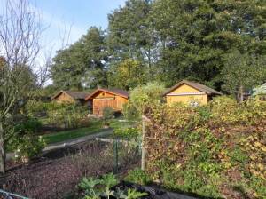 Kleingartenanlage Hoppe (2014) KGA Hoppe, Berlin-Zehlendorf, 