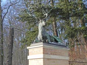 Ruhender Hirsch von Christian Daniel Rauch (2016) Ruhende Hirsche, Potsdam-West, Wildpark, Tierklinik