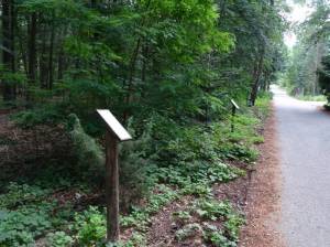 Waldlehrpfad Müggelheim (2016) Waldlehrpfad, Berlin-Müggelheim, Große Krampe, Forst Köpenick