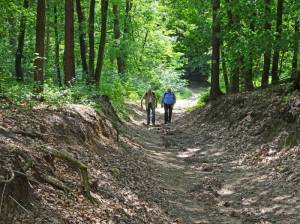 Aufstieg zum Großen Ravensberg (2016) Großer Ravensberg, Nuthetal, Waldhaus, Waldschule, Teufelssee